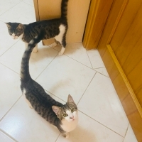 Son şansl..