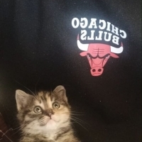 Kızım Şerbet'e yeni yuva arıyorum