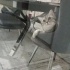 Sakin ve ılımlı