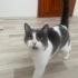 hareketli ve temas bağımlısı fotoğraf