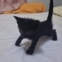 SİMSİYAH 2 AYLIK YAVRU KEDİ