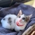 Şeker komasına girmelik bebiş sahiplendiriyoruz :))