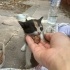 5 haftalık bebek için acil yuva fotoğraf