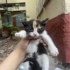 5 haftalık bebek için acil yuva