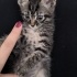 Ece kız çok mutlu olacağı yeni yuvasını arıyor fotoğraf