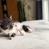 Rhea, 2 aylık güzel bir kız