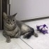 3 bebeğe bir yuva fotoğraf