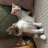 Sevgisini verecek aileler arıyoruz fotoğraf