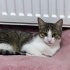 Kucak Delisi Oyuncu 7 Aylık Prenses Bebek fotoğraf