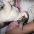 Kucak Delisi Oyuncu 7 Aylık Prenses Bebek fotoğraf
