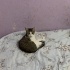 Kucak Delisi Oyuncu 7 Aylık Prenses Bebek fotoğraf