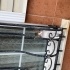 Şiddet gören bıttım acil yuva arıyor fotoğraf