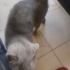 Duman kızımızı sahiplendirmek istiyoruz fotoğraf