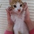 2 AYLIK MİNİK BEBEKLERE YUVA OLMAK İSTER MİSİNİZ? fotoğraf
