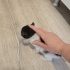 ANNESI TERKETTI YAVRU KEDI ACIL fotoğraf