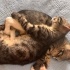 2.5 aylık bebekler fotoğraf