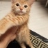 OYUNCU GÜNEŞ ÖMÜRLÜK YUVASINI ARIYOR fotoğraf