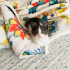 Tuxedo Smokinli Bebe 2.5 aylık Erkek Duman fotoğraf