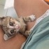Cana yakın, minik, oyuncu fotoğraf