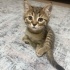Sevimli yavrumuza yuva olmak istermisiniz fotoğraf