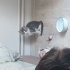 2 aylık bu bebek ömürlük yuva arıyor💕 fotoğraf