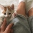 Diyabeti hastalarına tavsiye edilmez 😻 fotoğraf