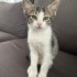 Yuva Arayan Melek -1 fotoğraf
