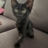 Yuva Arayan Melek -4 fotoğraf