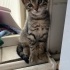 Öpülmeyi ve kucakta olmayı çok seviyor fotoğraf