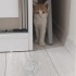 2 AYLIK ERKEK ANNESİZ BULUNDU YUVA ÇIKMAZSA SOKAĞA GERİ BIRAKILACAK fotoğraf