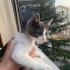 🐾 Yuva Arayan Minik Kalp! 🐾 fotoğraf