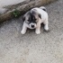 Fino anne ve bebekler acil yuva fotoğraf