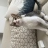 Engelli bebeğe yuva fotoğraf