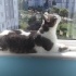 yumusacık bir çocuk fotoğraf