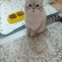 Üreticiler aramasın fotoğraf