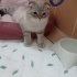 Üreticiler aramasın fotoğraf