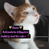 Ondaki bağ kurma  çabasının izahı yok