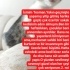 Melez Hafif Şevval Minicik Harika Bir Güzellik fotoğraf
