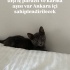 Mia çok tatlı sevecen bir kedidir annesi ve kardeşi ile birlikte evde yaşıyo