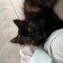 Oyuncu akıllı çok karakteristik tüyleri olan yüzü güzel kızım :) fotoğraf