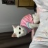 Pamuğumuza sıcak yuva fotoğraf