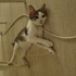 SOKAĞA GERİ DÖNMEK İSTEMİYORUM fotoğraf