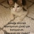 SOKAĞA GERİ DÖNMEK İSTEMİYORUM fotoğraf