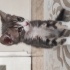 Görme Engelli Bu Minik Yüreğe Yuva Arıyoruz 🐾 fotoğraf