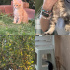 dort tane bebise yuva ariyoruz fotoğraf