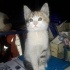 MİNİK BEBEK Aile istiyo
