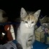 MİNİK BEBEK Aile istiyo fotoğraf