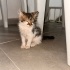 Cokk masum lütfen acil yuva fotoğraf