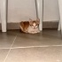 Cokk masum lütfen acil yuva fotoğraf