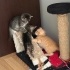 Çok Minnoş Uysal Kedi Yavruları fotoğraf